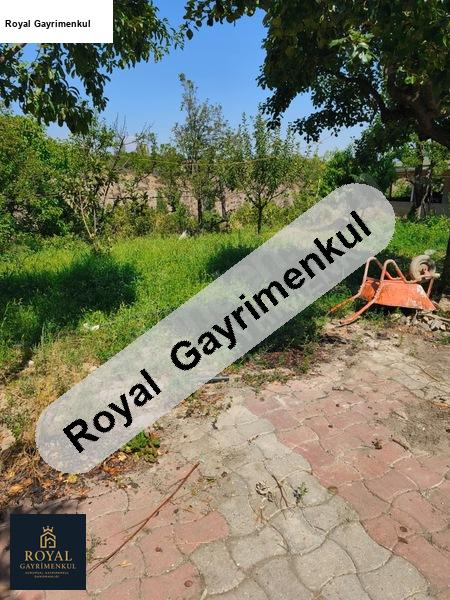 kastamonu tosya kuzyakada firsat satilik bahçe ve i̇çi̇nde 2 ev